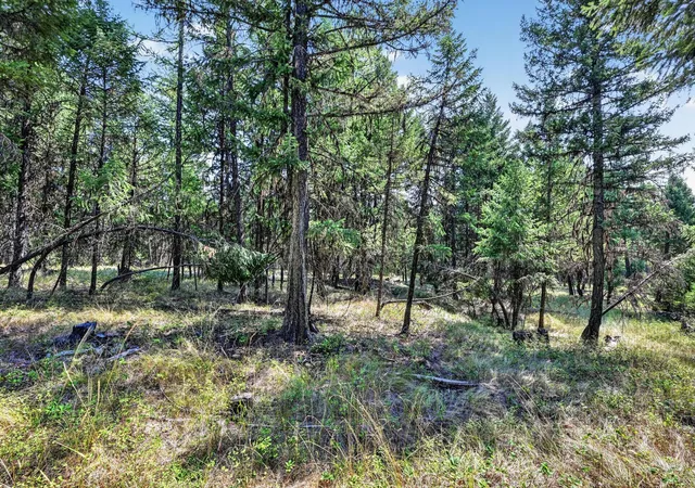 Photo 2 of Land for sale at Lot 3 Forest Ridge, Fortine, MT 59918 | MLS# 30077583 | Listing updated on 2026-08-30