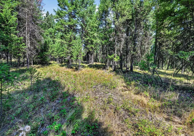 Photo 3 of Land for sale at Lot 3 Forest Ridge, Fortine, MT 59918 | MLS# 30077583 | Listing updated on 2026-08-30
