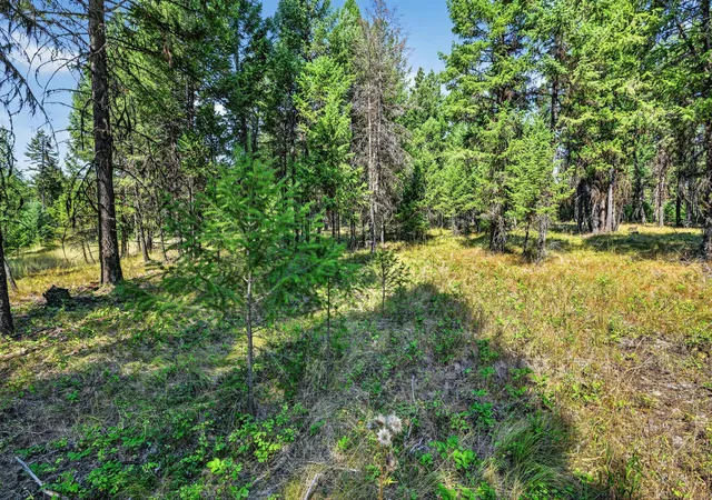 Photo 3 of Land for sale at Lot 3 Forest Ridge, Fortine, MT 59918 | MLS# 30077583 | Listing updated on 2026-08-30