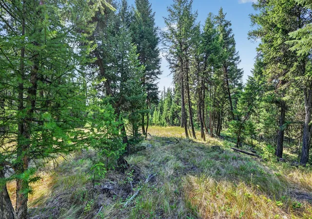 Photo 4 of Land for sale at Lot 3 Forest Ridge, Fortine, MT 59918 | MLS# 30077583 | Listing updated on 2026-08-30