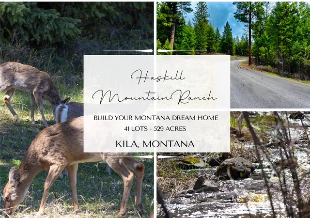 Photo 14 of Land for sale at 468 Haskill Ranch Rd, Kila, MT 59920 | MLS# 30077593 | Listing updated on 2026-09-01