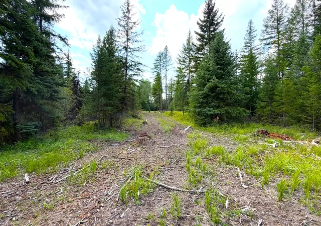 Photo 2 of Land for sale at 468 Haskill Ranch Rd, Kila, MT 59920 | MLS# 30077593 | Listing updated on 2026-09-01