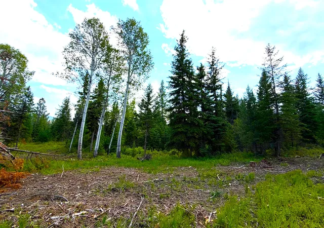 Photo 2 of Land for sale at 468 Haskill Ranch Rd, Kila, MT 59920 | MLS# 30077593 | Listing updated on 2026-09-01