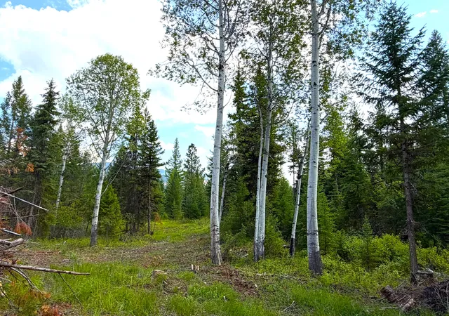 Photo 3 of Land for sale at 468 Haskill Ranch Rd, Kila, MT 59920 | MLS# 30077593 | Listing updated on 2026-09-01