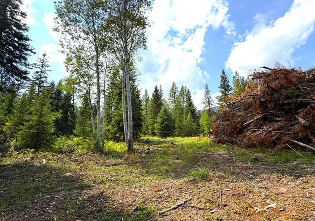 Photo 4 of Land for sale at 468 Haskill Ranch Rd, Kila, MT 59920 | MLS# 30077593 | Listing updated on 2026-09-01