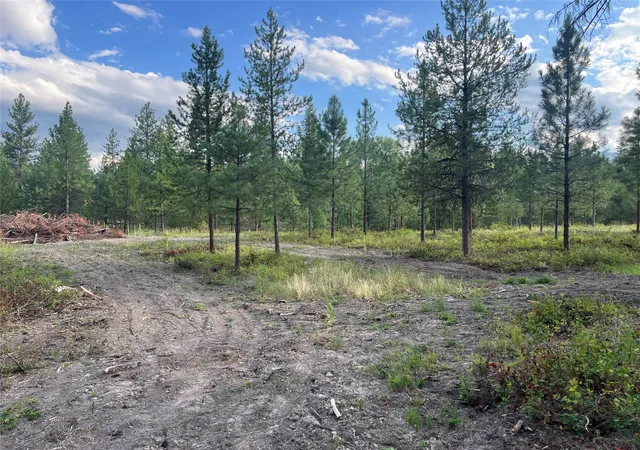 Photo 2 of Land for sale at Tbd Granite Lake Rd #2, Libby, MT 59923 | MLS# 30077595 | Listing updated on 2026-08-31