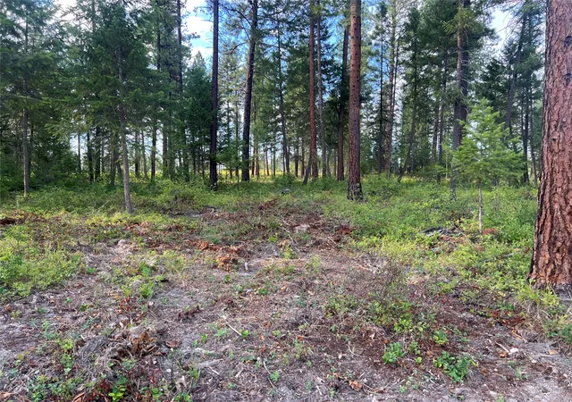 Photo 3 of Land for sale at Tbd Granite Lake Rd #2, Libby, MT 59923 | MLS# 30077595 | Listing updated on 2026-08-31