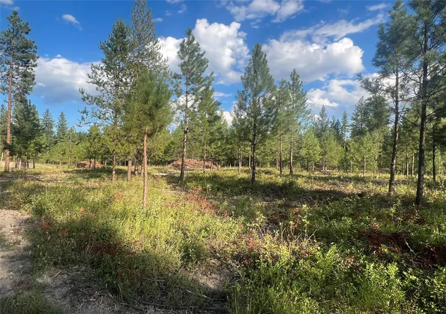 Photo 4 of Land for sale at Tbd Granite Lake Rd #2, Libby, MT 59923 | MLS# 30077595 | Listing updated on 2026-08-31