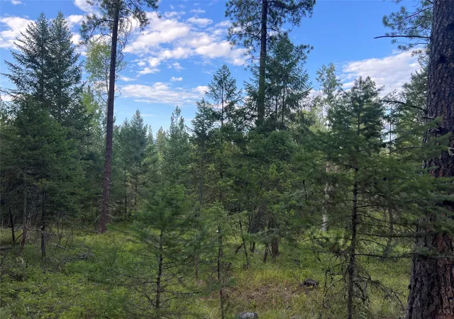 Photo 1 of Land for sale at Tbd Granite Lake Rd #6, Libby, MT 59923 | MLS# 30077597 | Listing updated on 2026-08-31