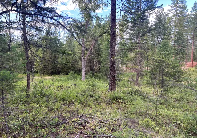 Photo 2 of Land for sale at Tbd Granite Lake Rd #6, Libby, MT 59923 | MLS# 30077597 | Listing updated on 2026-08-31