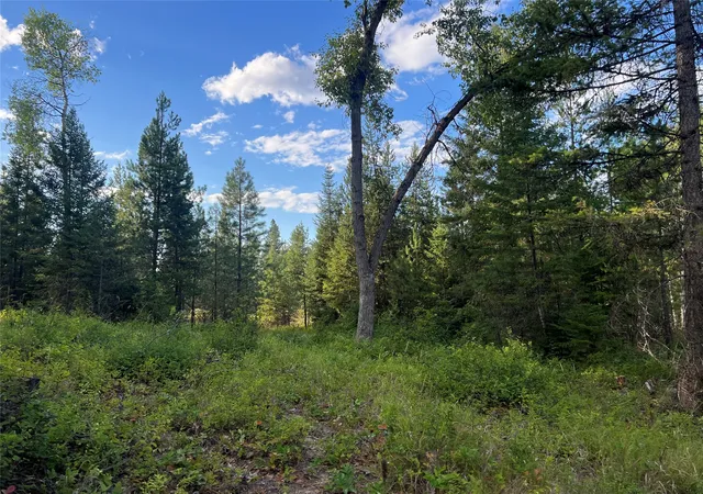 Photo 3 of Land for sale at Tbd Granite Lake Rd #6, Libby, MT 59923 | MLS# 30077597 | Listing updated on 2026-08-31