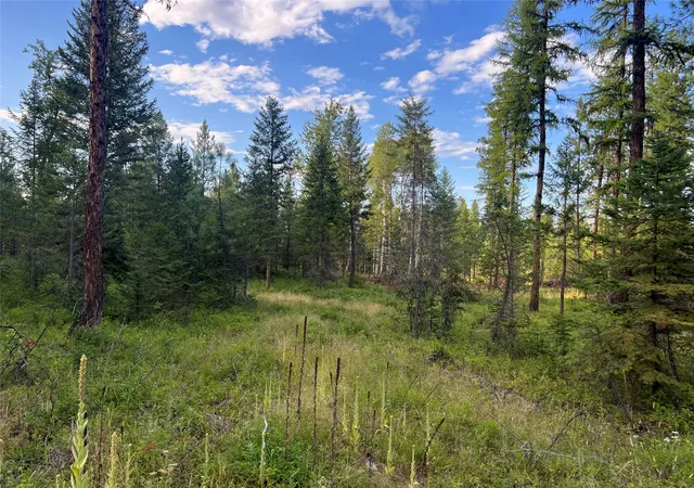 Photo 3 of Land for sale at Tbd Granite Lake Rd #6, Libby, MT 59923 | MLS# 30077597 | Listing updated on 2026-08-31