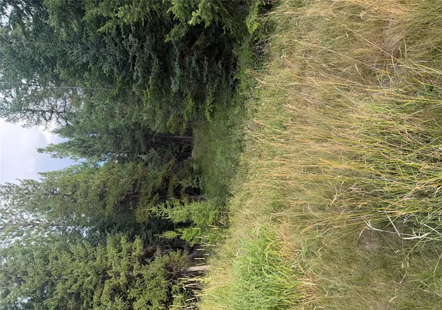 Photo 1 of Land for sale at 125 Conley Ct, Kila, MT 59920 | MLS# 30077621 | Listing updated on 2026-09-10