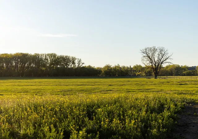 Photo 3 of Single family home for sale at 391 & 393 Flood Rd, Great Falls, MT 59404 | MLS# 30076259 | Listing updated on 2026-08-31