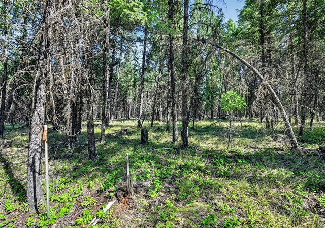 Photo 2 of Land for sale at Lot 4 Forest Ridge Rd, Fortine, MT 59918 | MLS# 30077682 | Listing updated on 2026-08-31