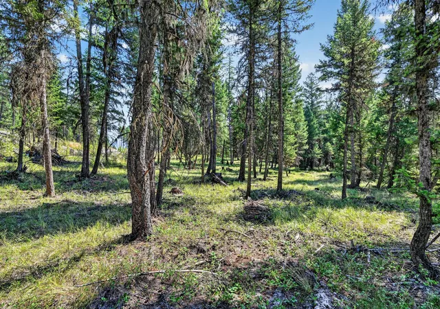Photo 3 of Land for sale at Lot 4 Forest Ridge Rd, Fortine, MT 59918 | MLS# 30077682 | Listing updated on 2026-08-31