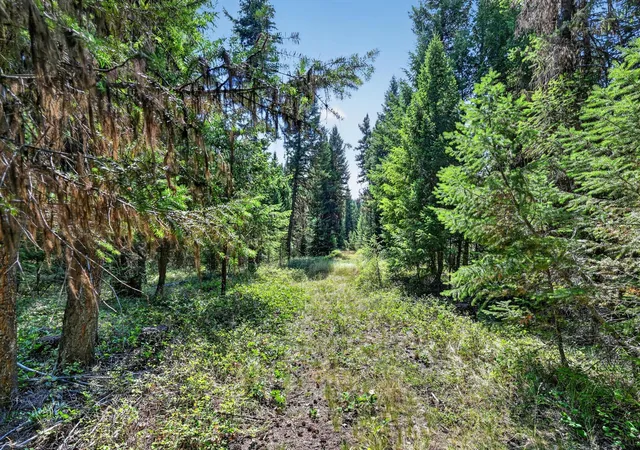 Photo 3 of Land for sale at Lot 4 Forest Ridge Rd, Fortine, MT 59918 | MLS# 30077682 | Listing updated on 2026-08-31