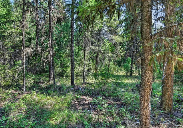 Photo 4 of Land for sale at Lot 4 Forest Ridge Rd, Fortine, MT 59918 | MLS# 30077682 | Listing updated on 2026-08-31