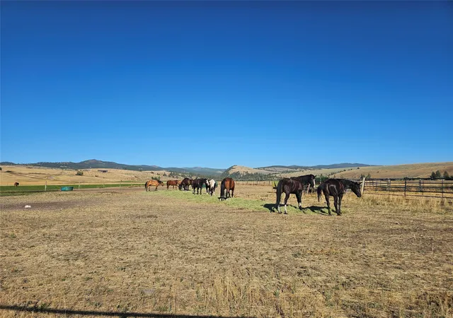 Photo 3 of Land for sale at Nhn Farm View Ln, Florence, MT 59833 | MLS# 30077690 | Listing updated on 2026-09-14