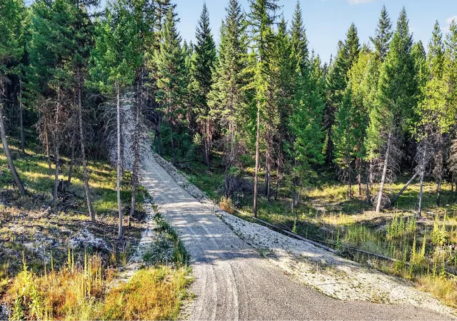 Photo 2 of Land for sale at Lot 5 Forest Ridge Rd, Fortine, MT 59918 | MLS# 30077697 | Listing updated on 2026-08-31