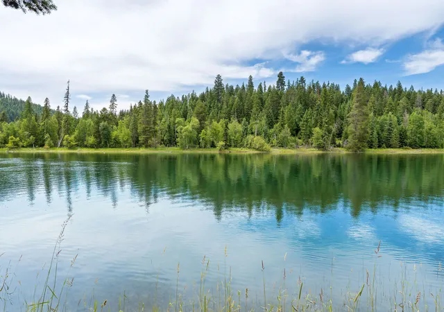 Photo 1 of Single family home for sale at 250 Swan Meadow Dr, Bigfork, MT 59911 | MLS# 30077055 | Listing updated on 2026-09-05