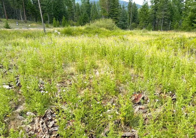 Photo 2 of Land for sale at 95 Blaney Ln #4, Kila, MT 59920 | MLS# 30077807 | Listing updated on 2026-09-02
