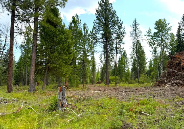 Photo 2 of Land for sale at 95 Blaney Ln #4, Kila, MT 59920 | MLS# 30077807 | Listing updated on 2026-09-02