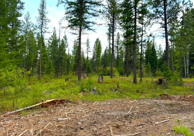 Photo 3 of Land for sale at 95 Blaney Ln #4, Kila, MT 59920 | MLS# 30077807 | Listing updated on 2026-09-02