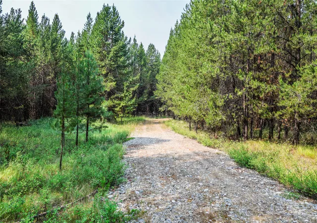 Photo 2 of Land for sale at 187 Osprey Way, Marion, MT 59925 | MLS# 30077613 | Listing updated on 2026-09-16