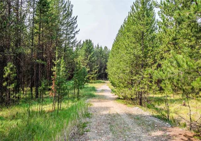 Photo 4 of Land for sale at 187 Osprey Way, Marion, MT 59925 | MLS# 30077613 | Listing updated on 2026-09-16