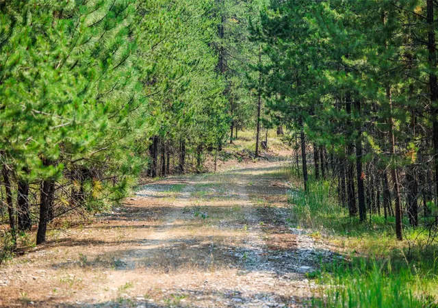 Photo 3 of Land for sale at 195 Osprey Way, Marion, MT 59925 | MLS# 30077614 | Listing updated on 2026-09-16