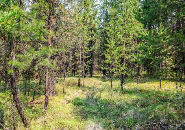 Photo 3 of Land for sale at 187 & 195 Osprey Way, Marion, MT 59925 | MLS# 30077615 | Listing updated on 2026-09-16