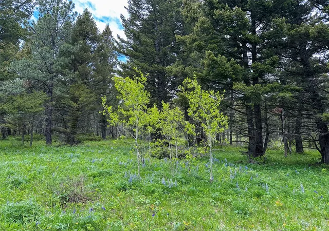 Photo 3 of Land for sale at 595 Wapiti Ln, Bigfork, MT 59911 | MLS# 30076873 | Listing updated on 2026-09-08