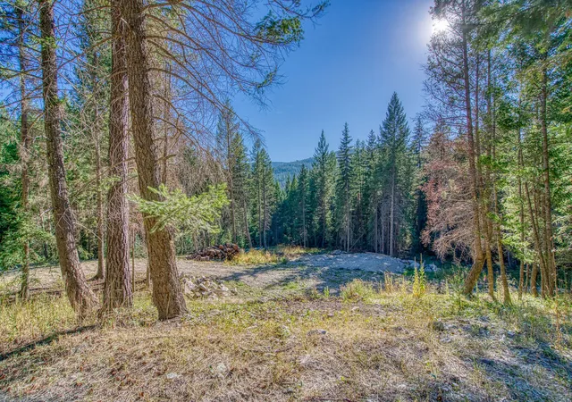 Photo 4 of Land for sale at 1340 Coon Holw Rd, Kila, MT 59920 | MLS# 30077603 | Listing updated on 2026-09-02