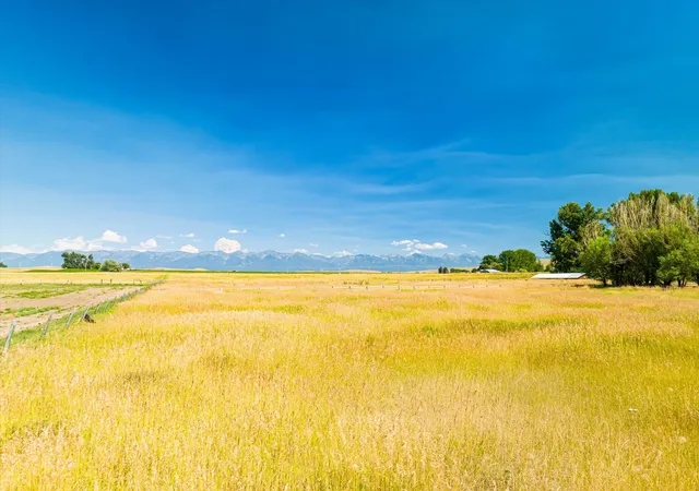 Photo 4 of Land for sale at Nhn-tr B Buffalo Brg Rd, Polson, MT 59860 | MLS# 30077869 | Listing updated on 2026-09-03