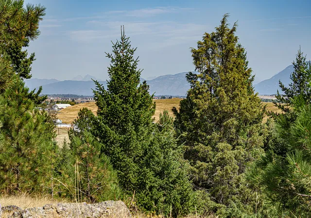 Photo 2 of Land for sale at 138 Ashley Hills Dr, Kalispell, MT 59901 | MLS# 30077883 | Listing updated on 2026-10-06