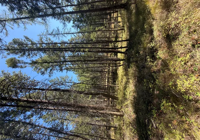 Photo 1 of Land for sale at 257 Bridger Rd, Lakeside, MT 59922 | MLS# 30077655 | Listing updated on 2026-09-03