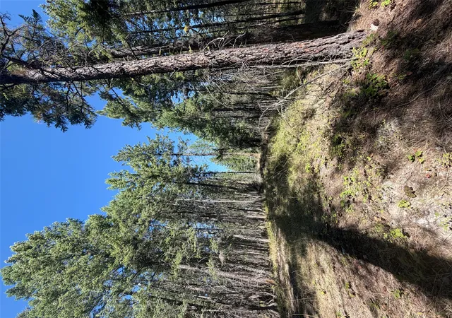 Photo 2 of Land for sale at 257 Bridger Rd, Lakeside, MT 59922 | MLS# 30077655 | Listing updated on 2026-09-03