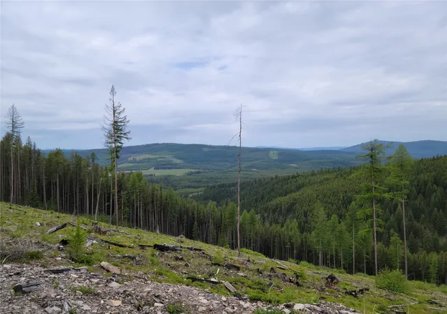 Photo 2 of Land for sale at Nhn Griffin Crk Rd, Marion, MT 59925 | MLS# 30077707 | Listing updated on 2026-09-22