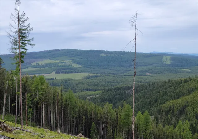 Photo 3 of Land for sale at Nhn Griffin Crk Rd, Marion, MT 59925 | MLS# 30077707 | Listing updated on 2026-09-22