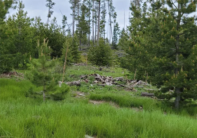 Photo 3 of Land for sale at Nhn Griffin Crk Rd, Marion, MT 59925 | MLS# 30077707 | Listing updated on 2026-09-22