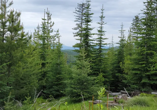 Photo 4 of Land for sale at Nhn Griffin Crk Rd, Marion, MT 59925 | MLS# 30077707 | Listing updated on 2026-09-22