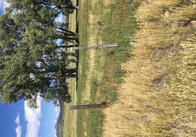 Photo 2 of Land for sale at 406 Johnson St, Radersburg, MT 59641 | MLS# 30077888 | Listing updated on 2026-09-14