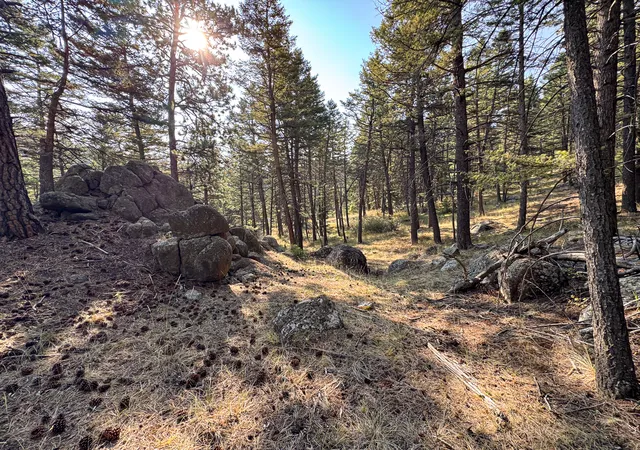 Photo 1 of Land for sale at 93 Saddle Mountain Dr, Clancy, MT 59634 | MLS# 30077679 | Listing updated on 2026-09-14