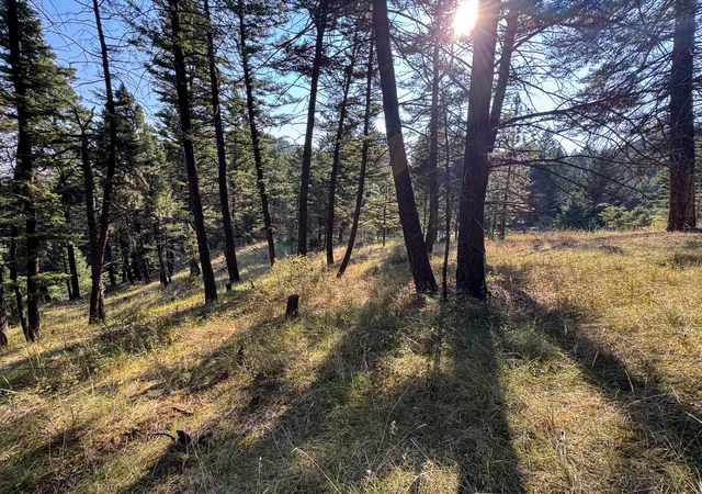 Photo 2 of Land for sale at 93 Saddle Mountain Dr, Clancy, MT 59634 | MLS# 30077679 | Listing updated on 2026-09-14