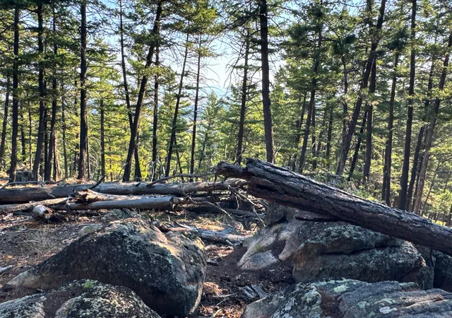 Photo 3 of Land for sale at 93 Saddle Mountain Dr, Clancy, MT 59634 | MLS# 30077679 | Listing updated on 2026-09-14