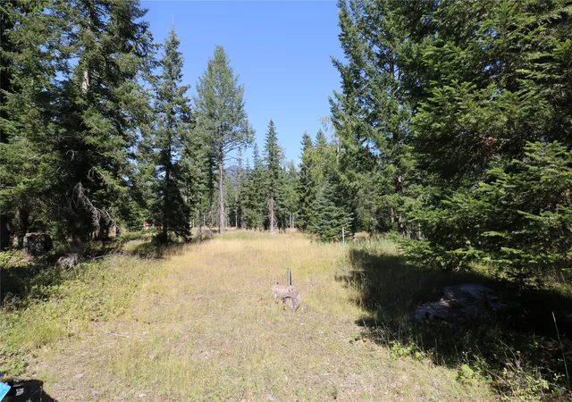 Photo 2 of Land for sale at Nhn Jewel Basin Ranch Rd, Bigfork, MT 59911 | MLS# 30077901 | Listing updated on 2026-09-23