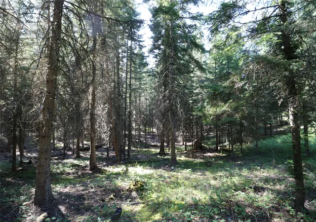 Photo 3 of Land for sale at Nhn Jewel Basin Ranch Rd, Bigfork, MT 59911 | MLS# 30077901 | Listing updated on 2026-09-23