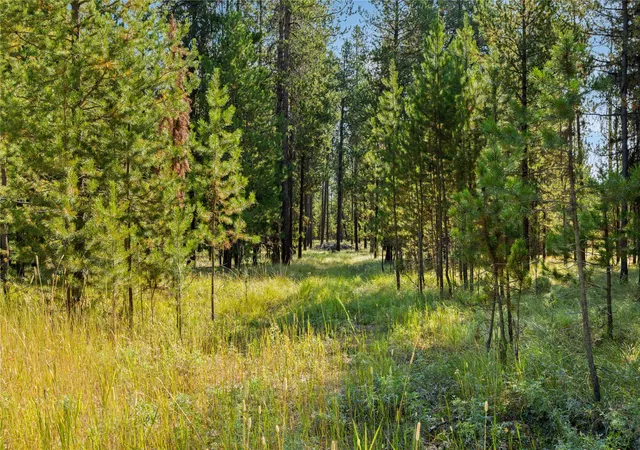 Photo 3 of Land for sale at Nhn Bhong Ln, Marion, MT 59925 | MLS# 30077091 | Listing updated on 2026-09-16