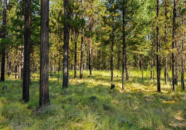 Photo 4 of Land for sale at Nhn Bhong Ln, Marion, MT 59925 | MLS# 30077091 | Listing updated on 2026-09-16